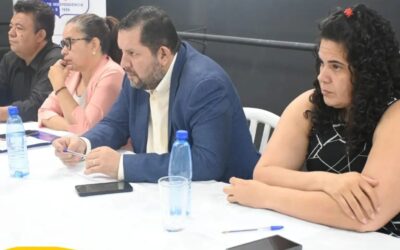 Mesa de trabajo Proyecto IMPACTO II